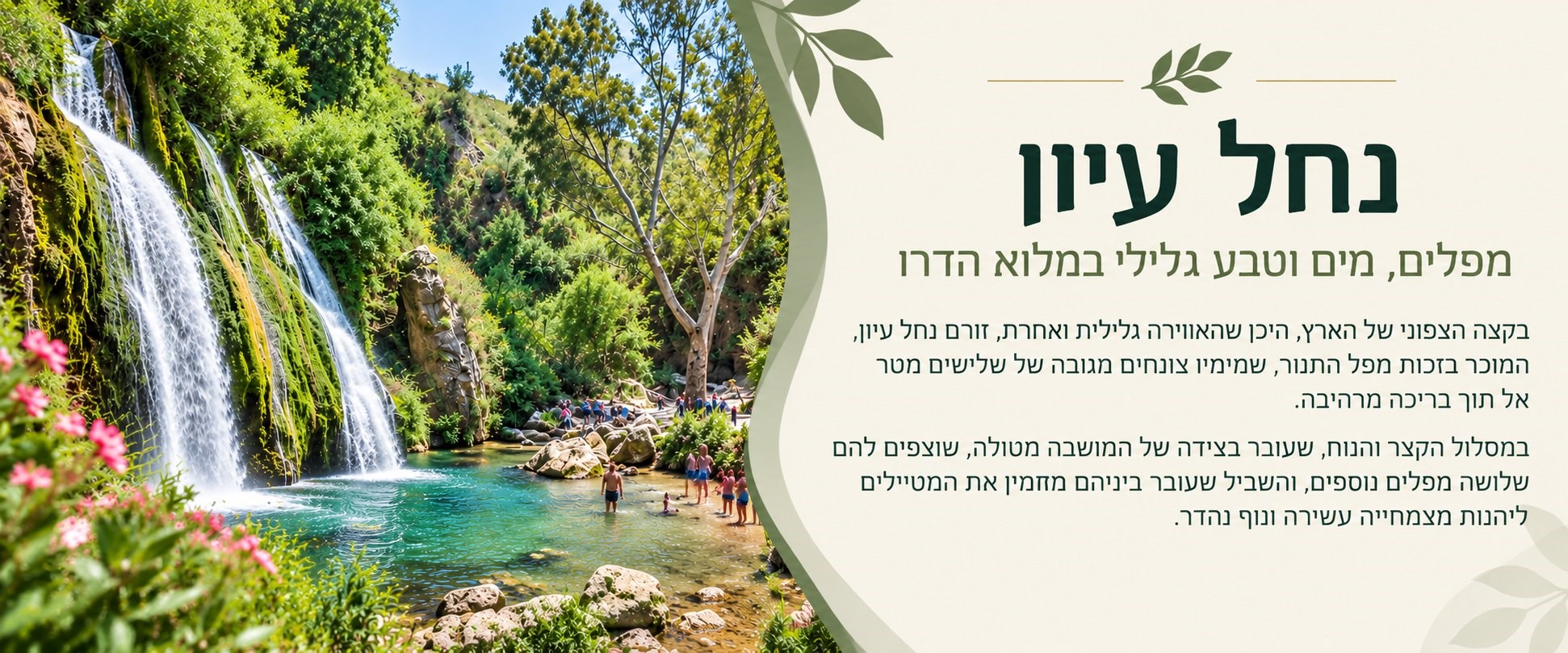 נחל עיון