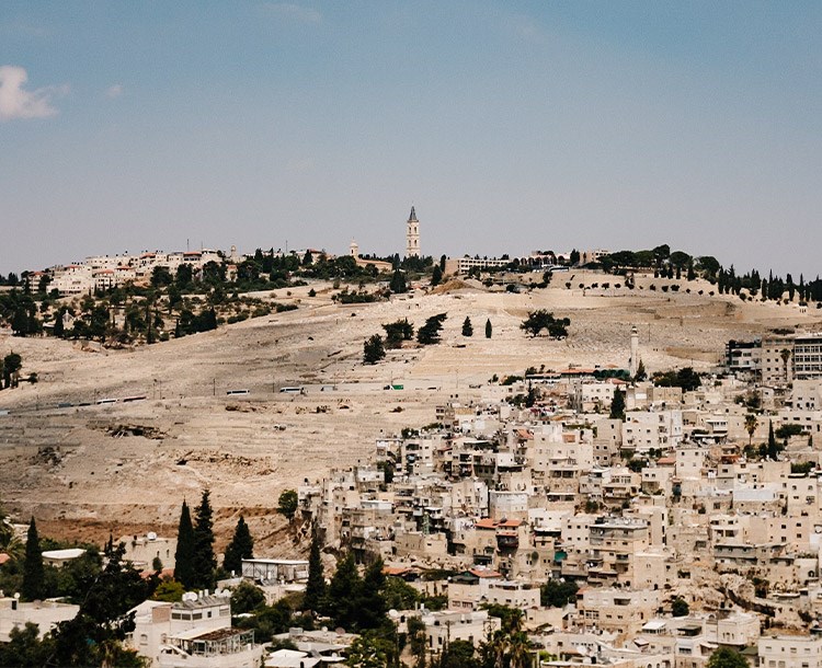 הר הזיתים