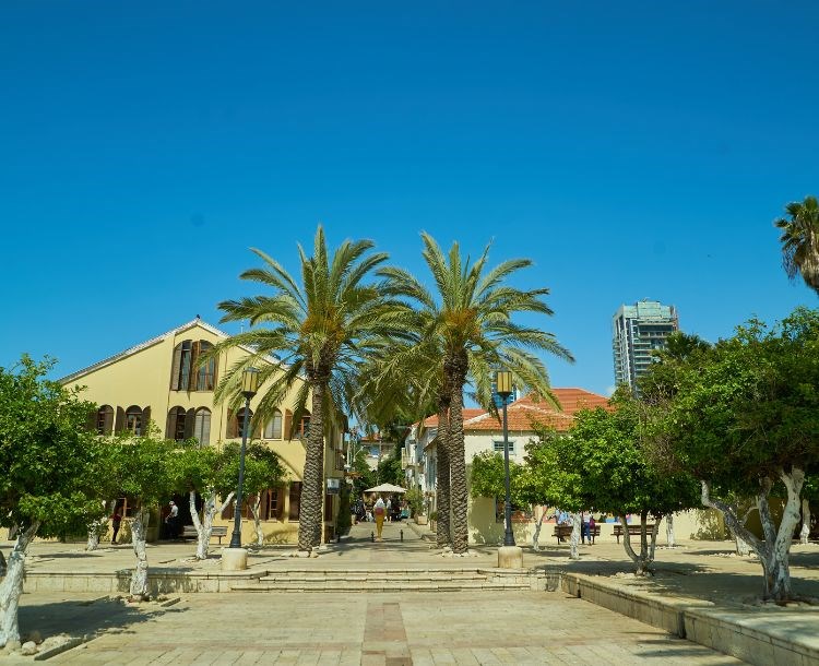 מתחם התחנה ופארק המסילה
