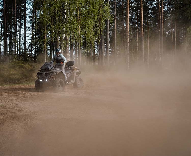 אטרקציות ואקסטרים