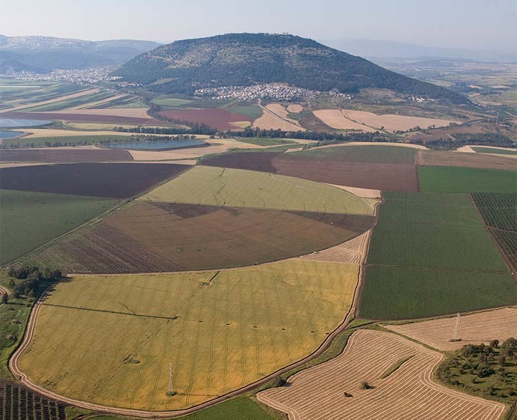 בעקבות חבל טוסקנה הדרוזית ופריחת הדובדבן