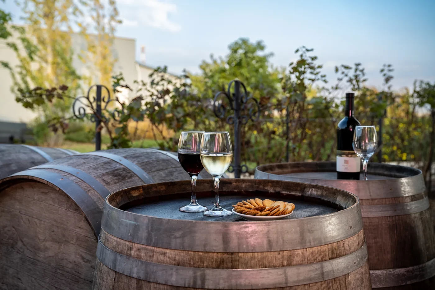 winebar